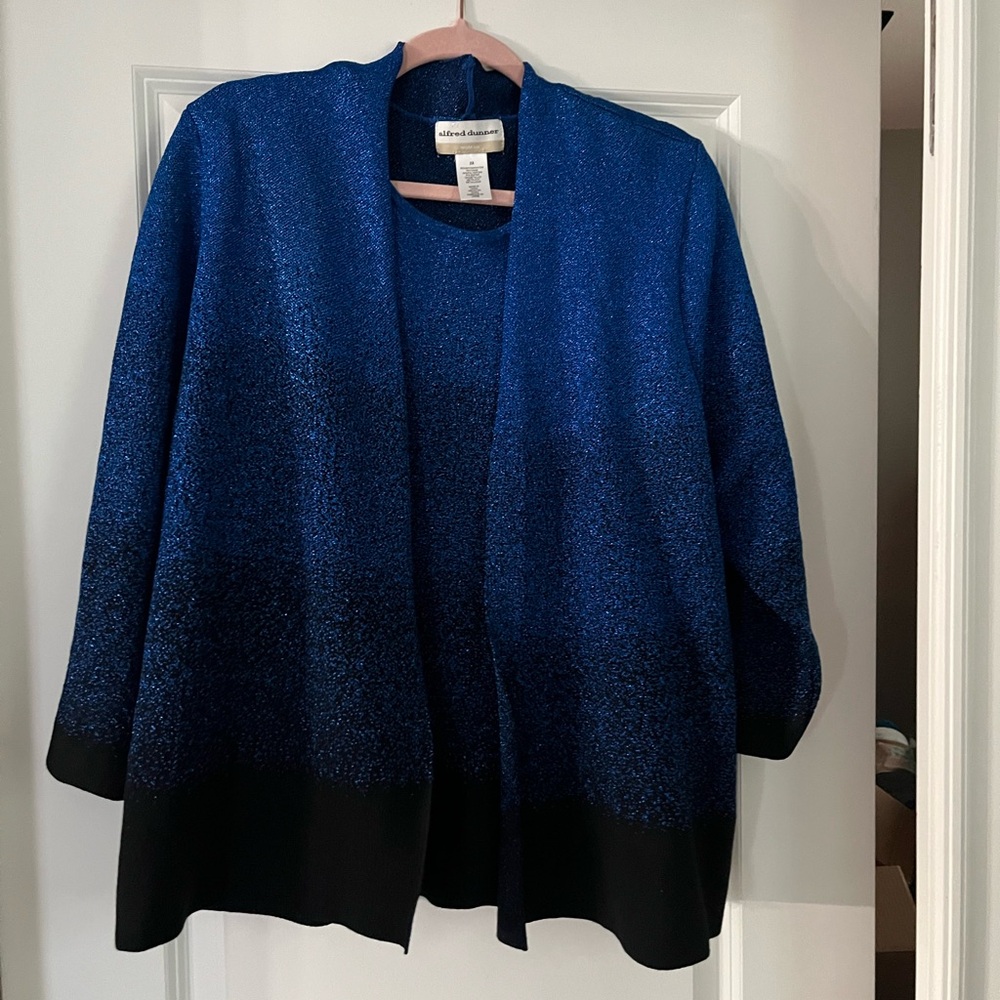Blue and Black Women's Blouse